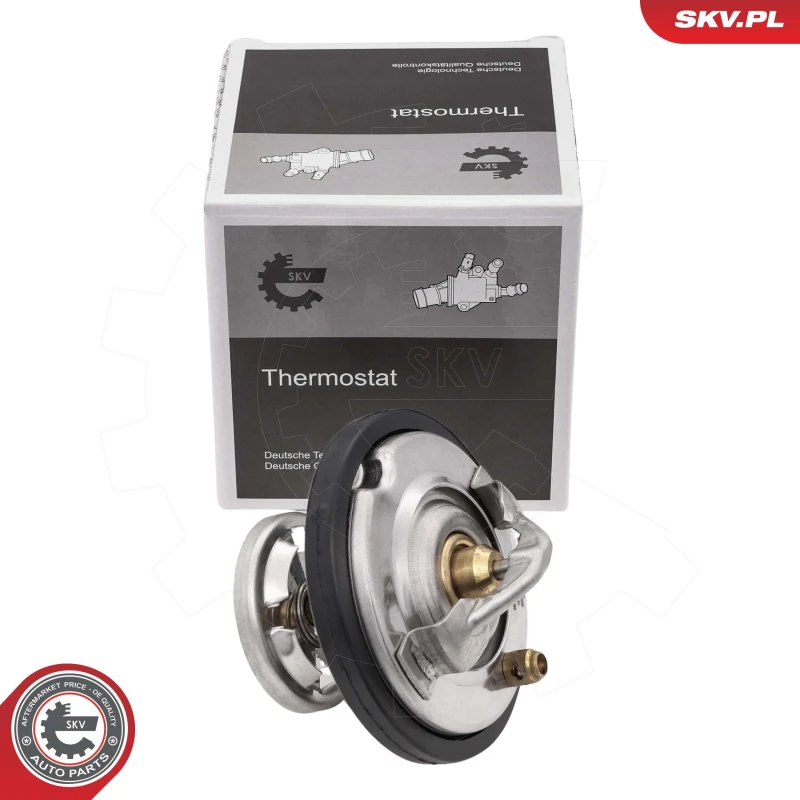 Image of ESEN SKV Thermostat ESEN SKV 20SKV251