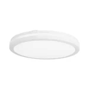 image of Scal LED Outdoor Flush White, Tinted, 3000-4000-6000K, IP54