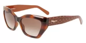 image of Salvatore Ferragamo Sunglasses SF 1043S 238