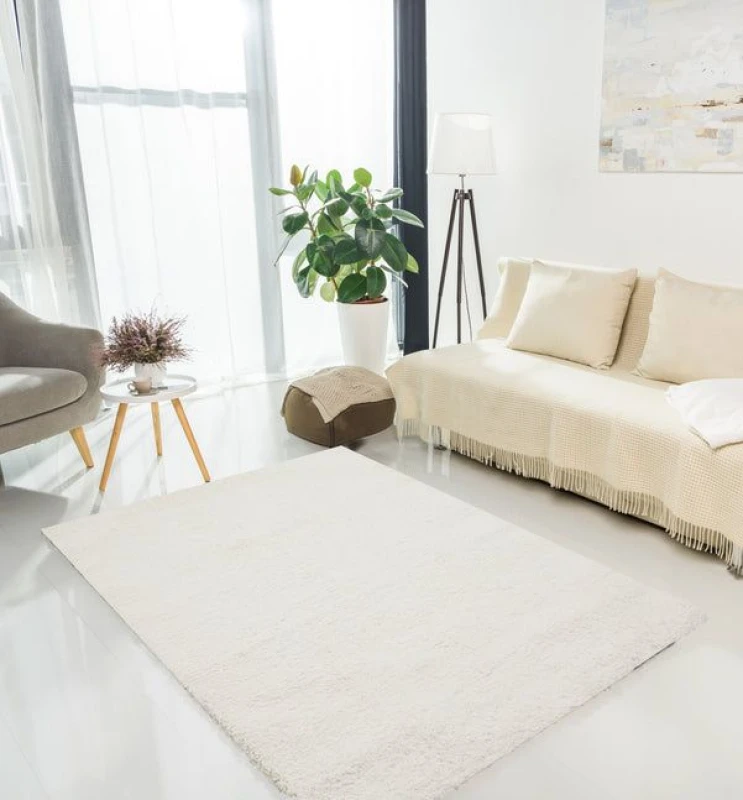 Image of Rugstyle Super Comfy Teddy Rug Plain Ivory Size: 120cm x 160cm Ivory Unisex 120cm x 160 cm