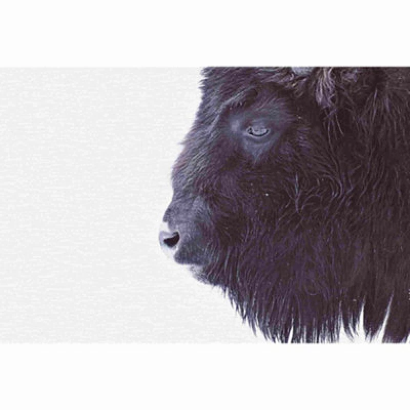 Image of As Creation Blackbuffalo Digitally Printed Design