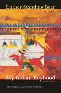 Image of my indian boyhood