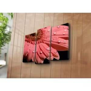 Image of 3KBPAT-10 Multicolor Decorative Canvas Painting (3 Pieces)