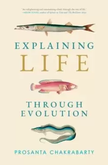 Image of Explaining Life through Evolution