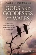 Image of pagan portals gods and goddesses of wales a practical introduction to wel