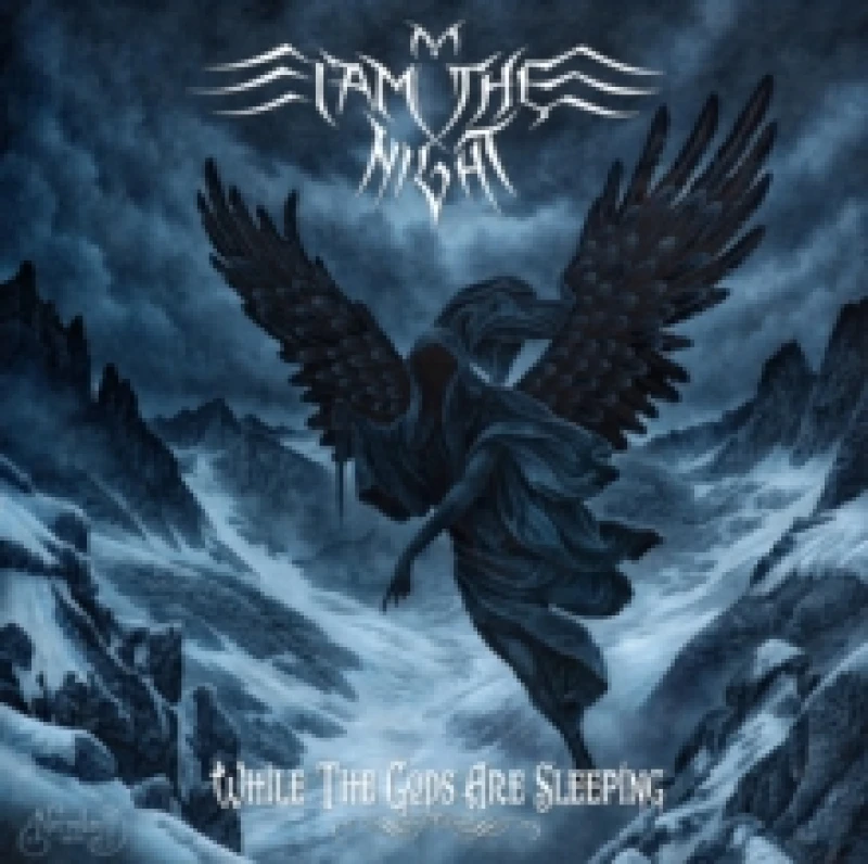 Image of While the Gods Are Sleeping Vinyl