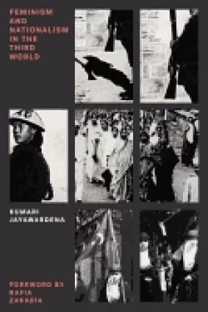 Image of feminism and nationalism in the third world