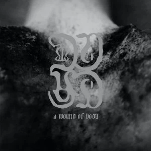 Image of Common Eider, King Eider - A Wound of Body Vinyl