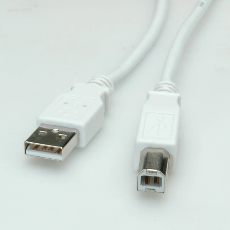 Image of VALUE USB 2.0 Cable. A - B. M/M 1.8 m