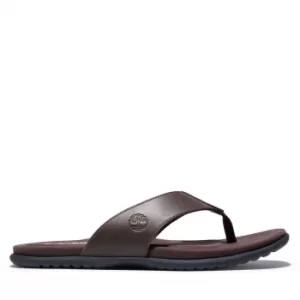 image of Timberland Kesler Cove Toe-bar Sandal For Men In Dark Brown Dark Brown, Size 11.5