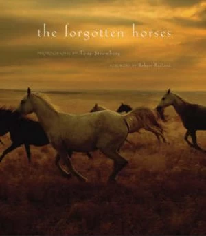 Image of The Forgotten Horses by Tony Stromberg Hardback
