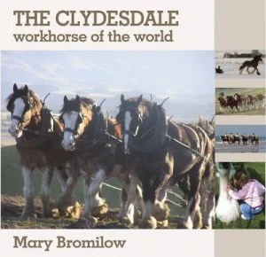 Image of The Clydesdale by Mary Bromilow Hardback