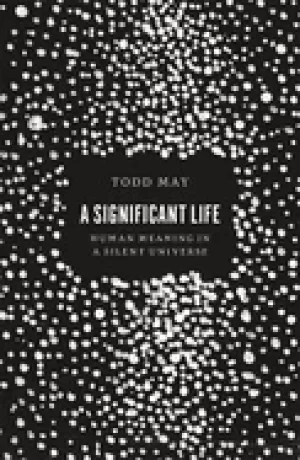 Image of significant life human meaning in a silent universe