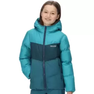 Regatta Girls Lofthouse VI Hooded Padded Coat 13 Years - Chest 79-83cm (Height 153-158cm)