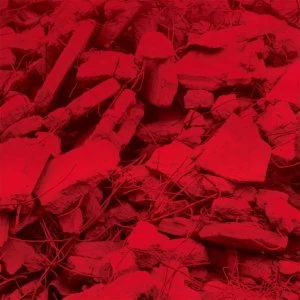 Image of Jam City - Dream A Garden Vinyl