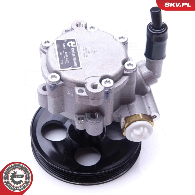 Image of ESEN SKV Power steering pump ESEN SKV 10SKV251