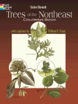 Image of trees of the northeast coloring book