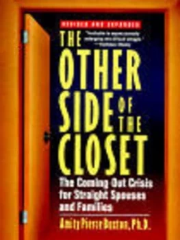 Image of The Other Side of the Closet by Amity Pierce Buxton Paperback