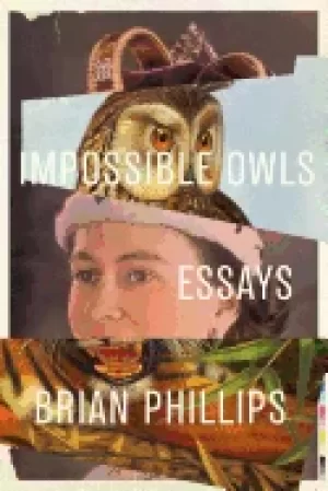 Image of impossible owls
