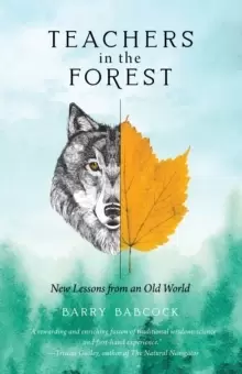 Image of Teachers in the Forest : New Lessons from an Old World