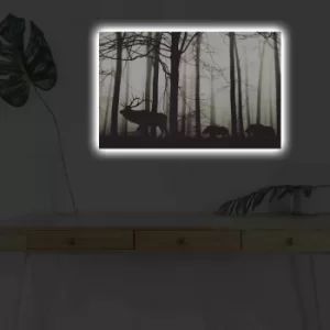 Image of 4570DHDACT-080 Multicolor Decorative LED Lighted Canvas Painting
