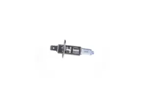 Image of Bosch Light Bulbs VW,AUDI,MERCEDES-BENZ 1 987 301 011 Bulb, spotlight