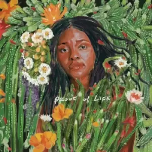 Image of Proof of Life by Joy Oladokun Vinyl Album