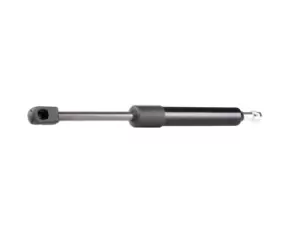 Image of RIDEX Tailgate strut AUDI 219G0131 8G0827552B,8G0827552C,8G0827552A 8G0827552C