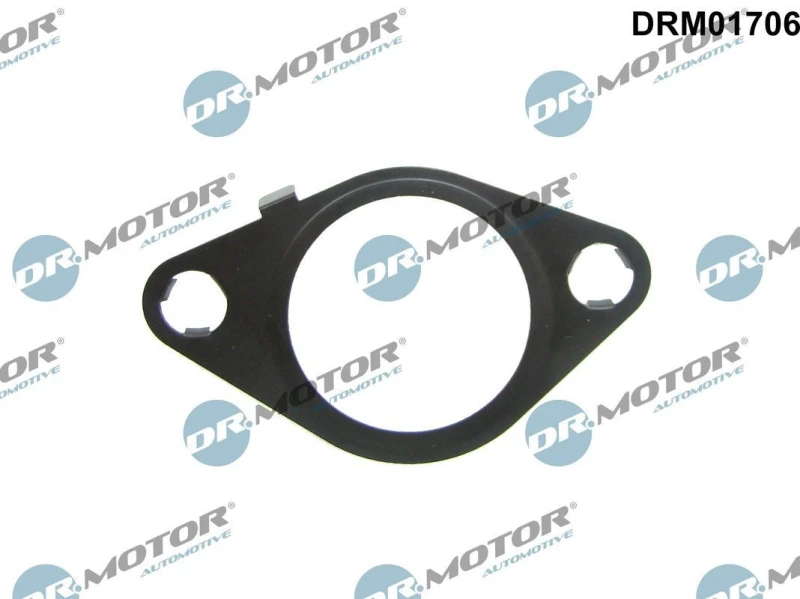 Image of DR.MOTOR AUTOMOTIVE EGR valve gasket DR.MOTOR AUTOMOTIVE DRM01706