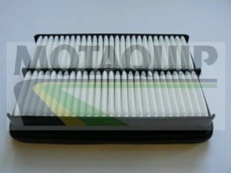 Image of MOTAQUIP Air filter MOTAQUIP VFA1172