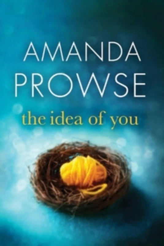 Image of The Idea of You by Amanda Prowse Paperback