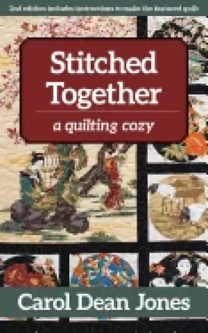 Image of stitched together a quilting cozy