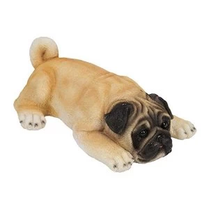 Image of Best of Breed Collection - Pug Puppy
