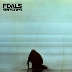 image of Foals What Went Down Deluxe CDDVD