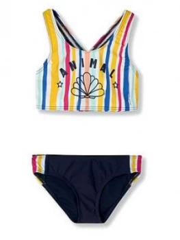 Image of Animal Girls Spectrum Stripe Bikini Set - Multi