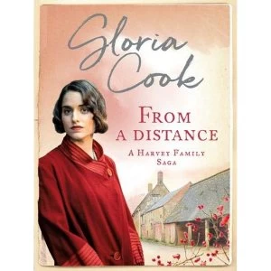 Image of From A Distance Paperback / softback 2018