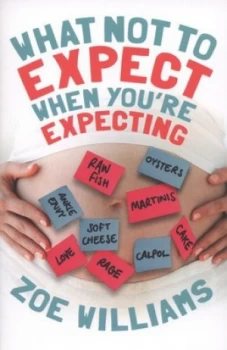 Image of What Not to Expect When Youre Expecting by Zoe Williams Paperback