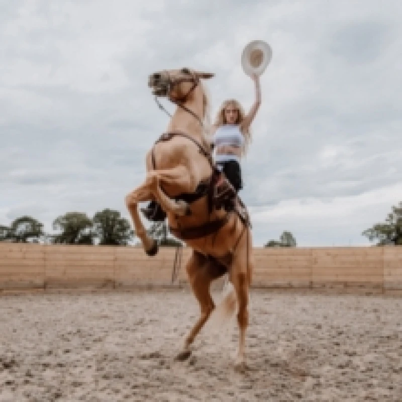 Image of Emotional Rodeo CD / Album