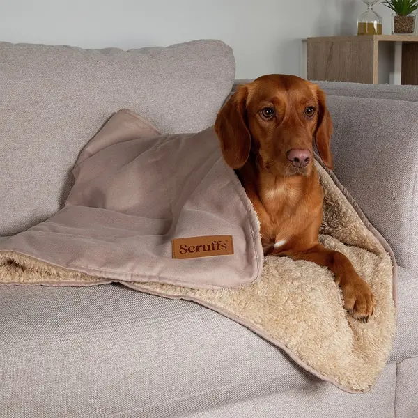 Image of Scruffs Snuggle Blanket-Desert Sand