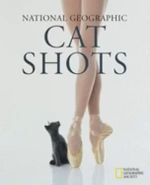 Image of cat shots