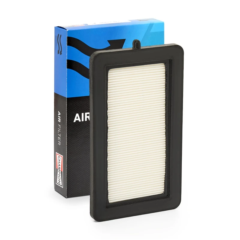 Image of Air filter CHAMPION CAF101202P