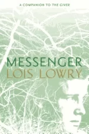 Image of messenger 3