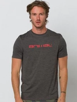 Image of Animal Surf/Swim Short Sleeve T-Shirt - Dark Charcoal, Dark Charcoal, Size XS, Men