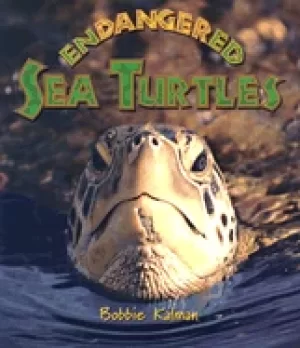 Image of endangered sea turtles
