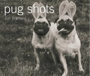Image of Pug Shots by Jim Dratfield Book