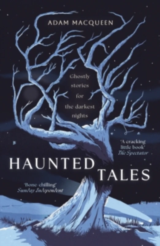 Image of Haunted Tales : Ghostly stories for the darkest nights. 'Festive and Fascinating' Christmas Read. Paperback / softback