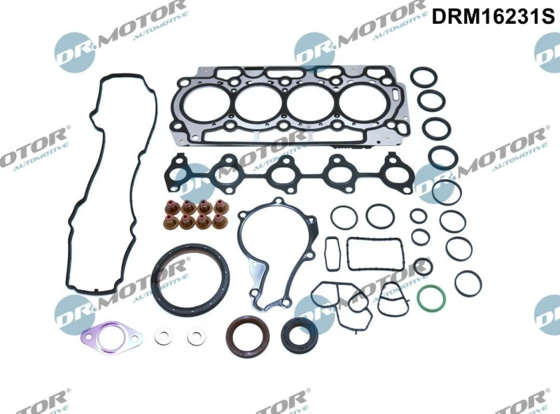 Image of DR.MOTOR AUTOMOTIVE Full Gasket Set, engine DR.MOTOR AUTOMOTIVE DRM16231S