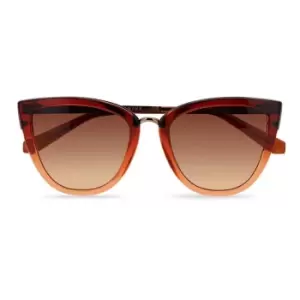 Image of Ted Baker Cat Eye Sunglasses - Orange