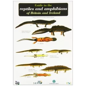 Image of Guide to the Reptiles and Amphibians of Britain and Ireland 1999 Sheet map, folded
