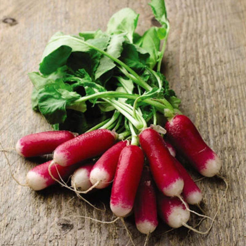 Image of Thompson & Morgan Radish Flamboyant 3 1 Seed Packet
